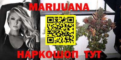 бошки Изобильный