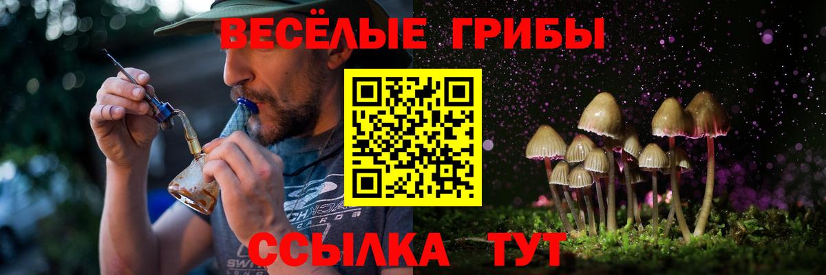 Галлюциногенные грибы мухоморы Усть-Джегута